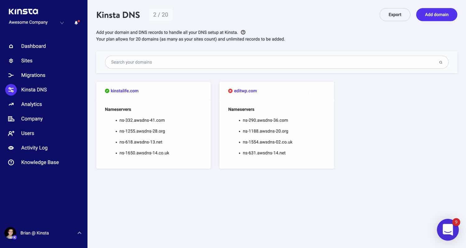 I domini nei name server di Kinsta DNS.