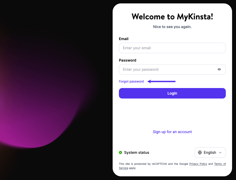 Klicka på länken glömt lösenord på MyKinsta's inloggningssida.