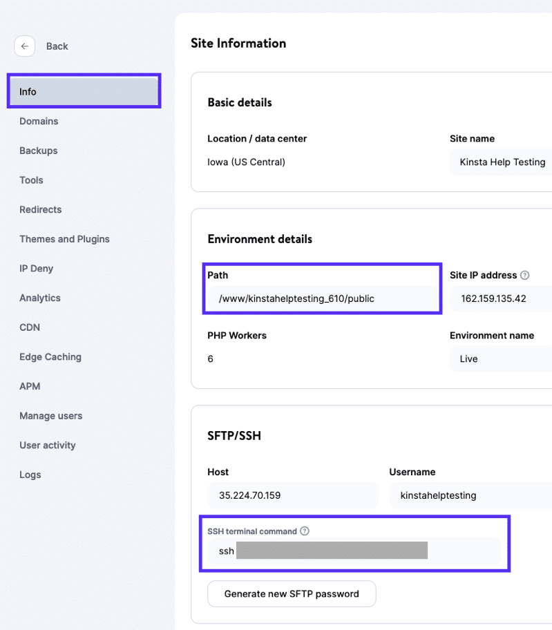 Path and SSH terminal command in MyKinsta.