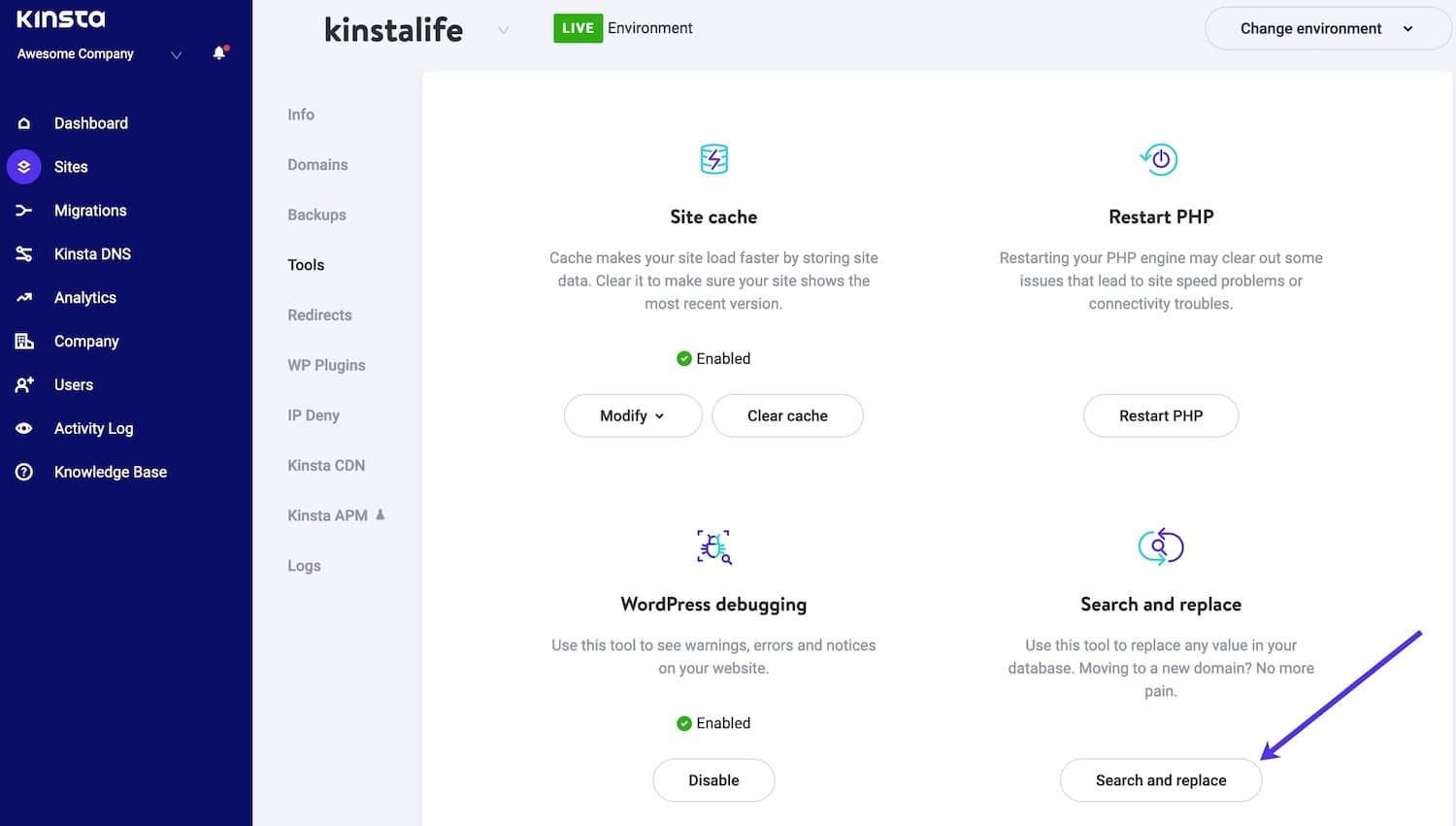 Search and replace button in MyKinsta Search and replace button in MyKinsta.