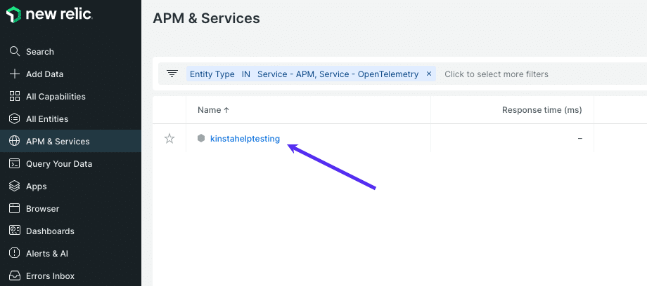 New Relicの「APM & Services」ページ