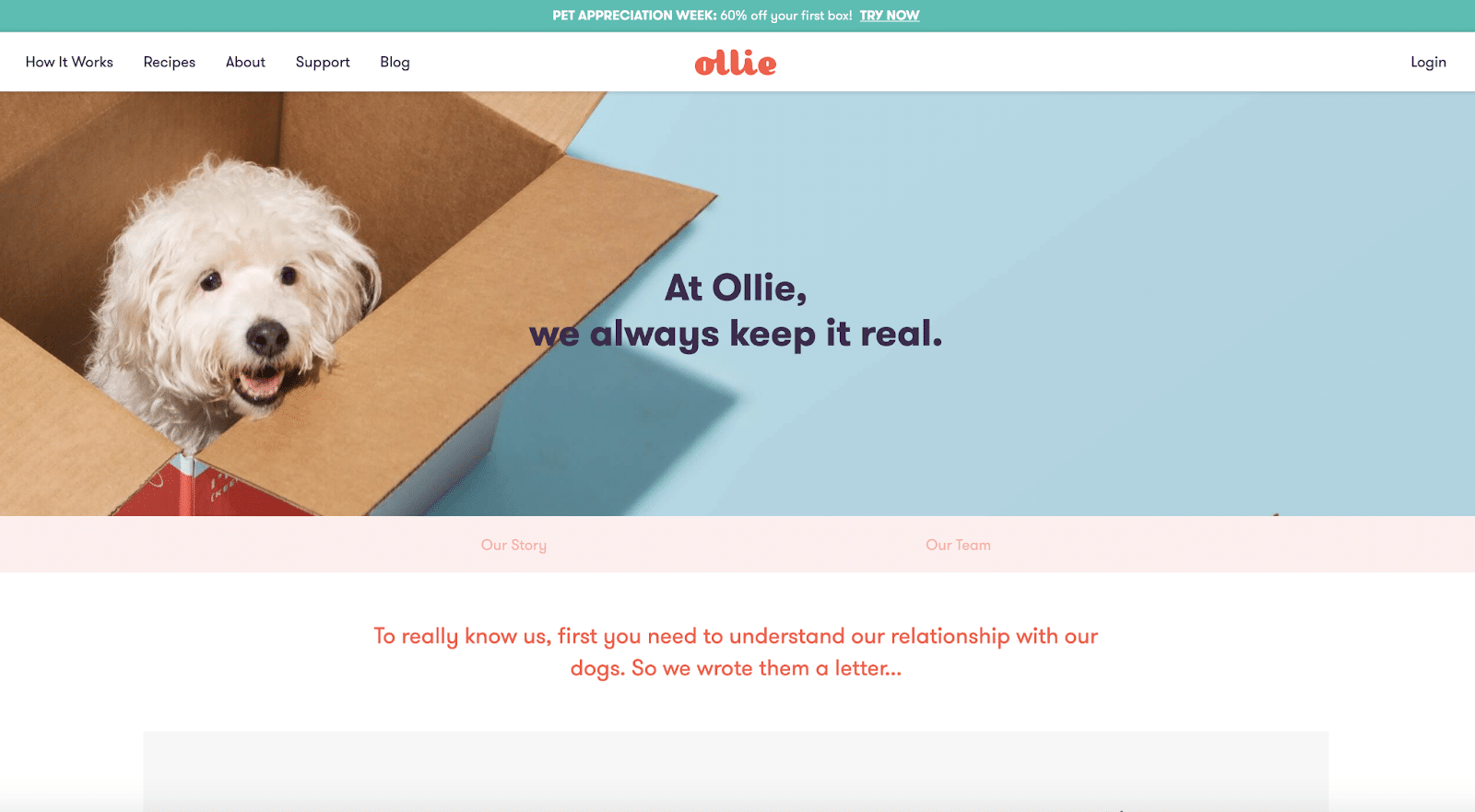 Ollie features a hero image of its core focus — pets.
