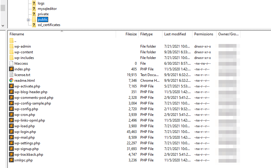 A look at the WordPress root folder