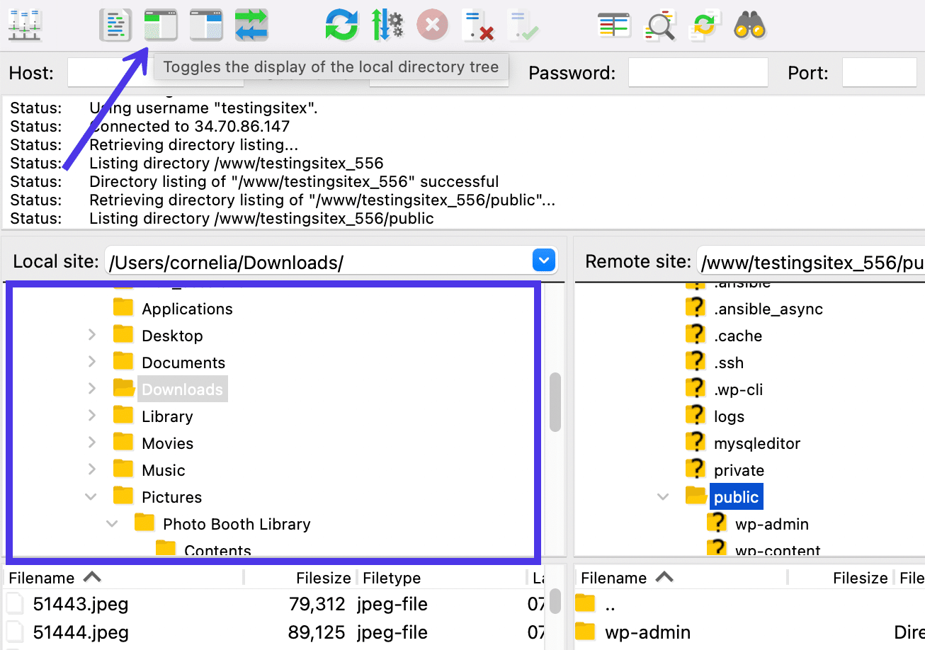 Pulsante in FileZilla per alternare la visualizzazione del Local Directory Tree.