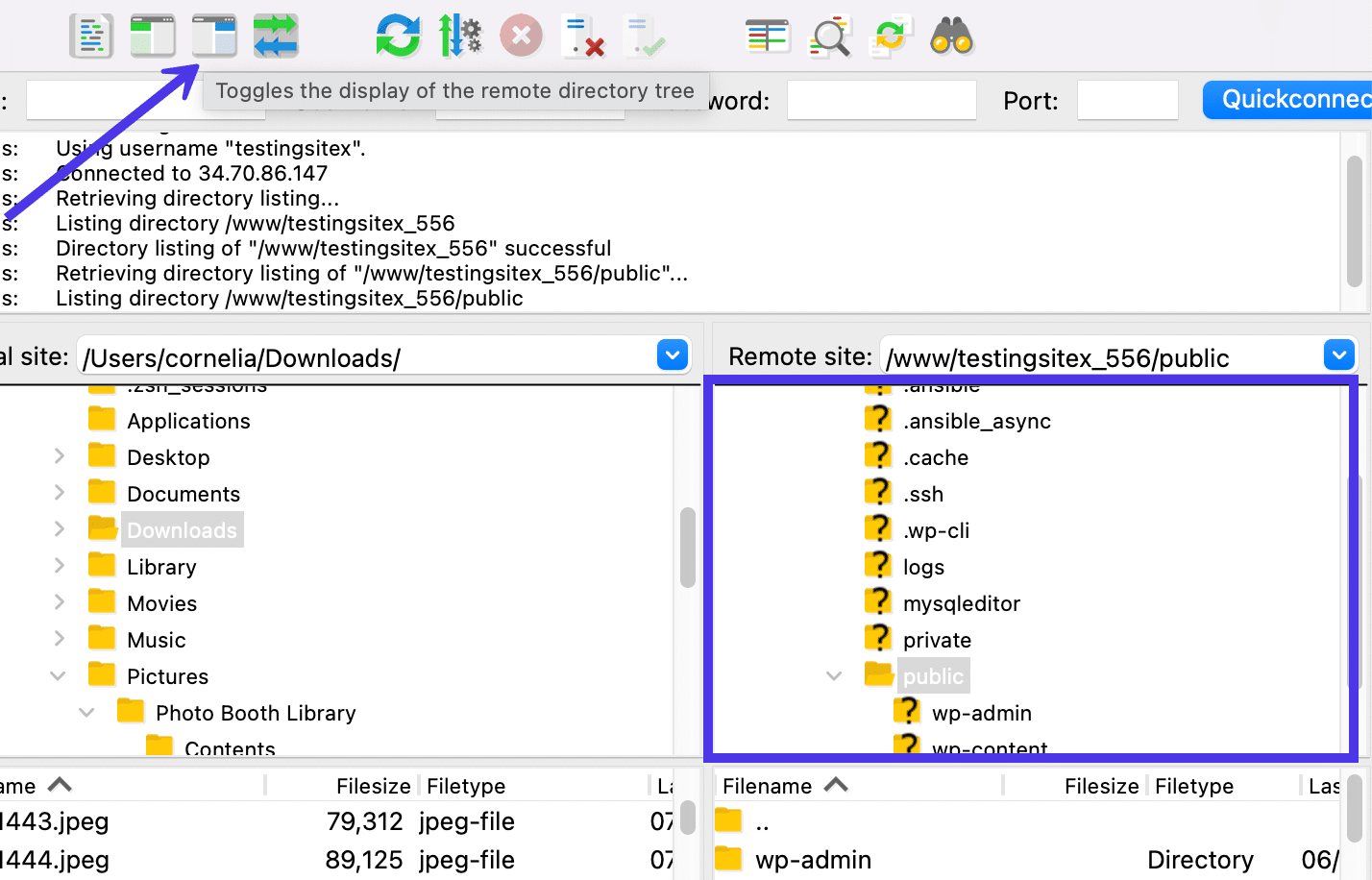 Alterna la visualizzazione della Remote Directory Tree.