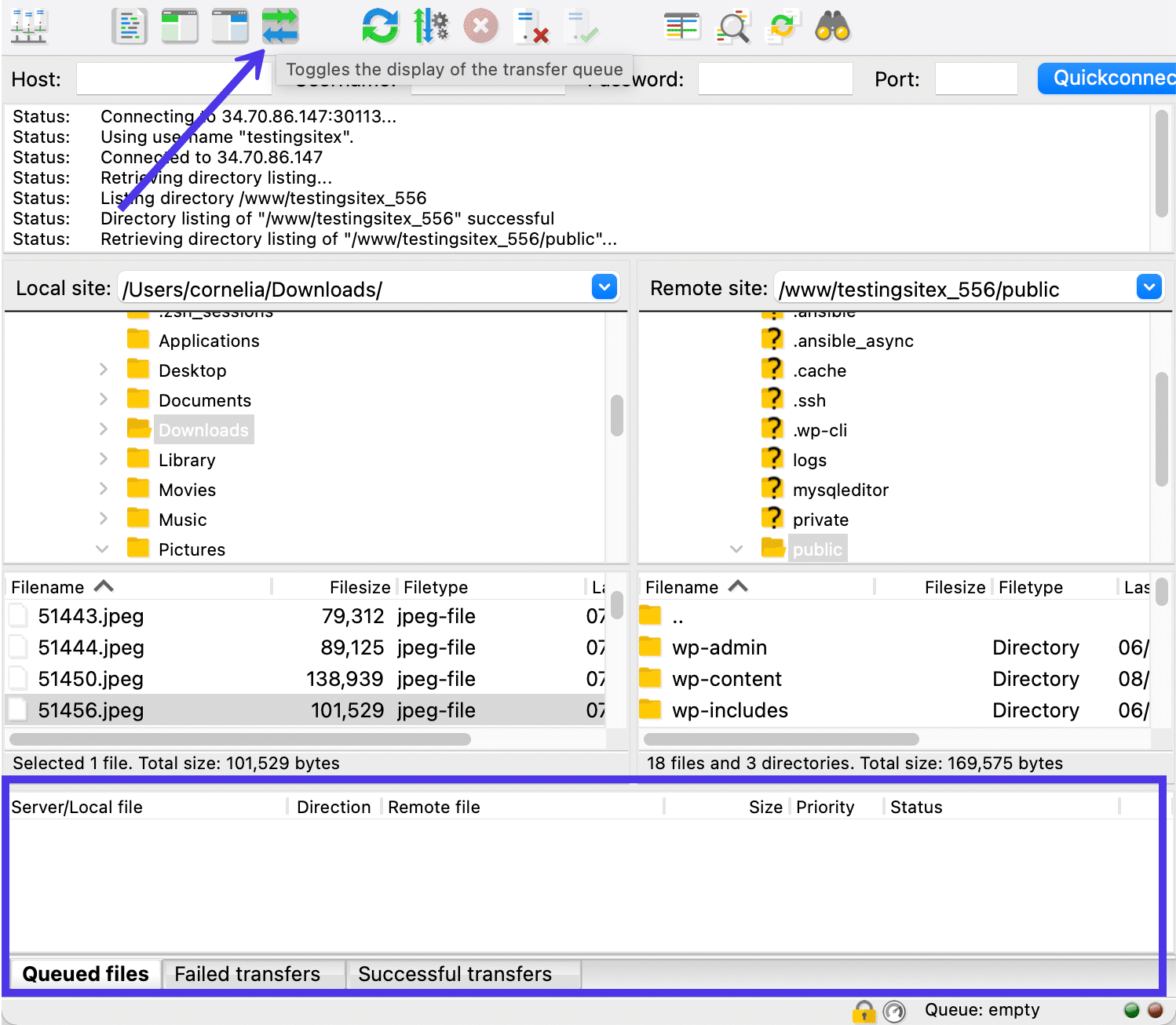 Attivate la visualizzazione della coda di trasferimento.