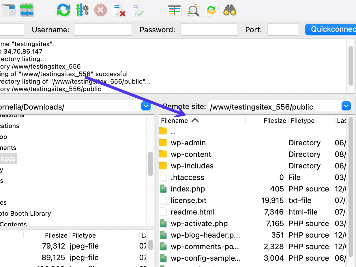 Der ausgeblendete Remote Directory Tree