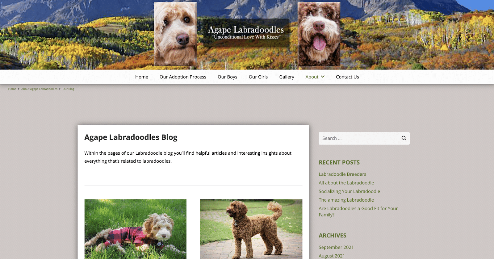 Agape Labradoodles Blog.