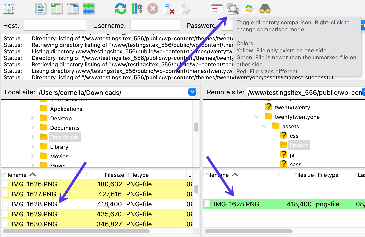 Een zij-aan-zij vergelijking van bestanden in de Local Site en Remote Site.