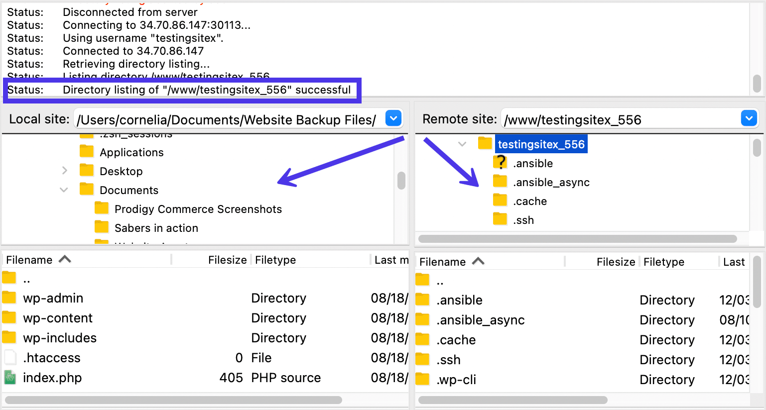 Une connexion réussie entre un site local et un site distant.