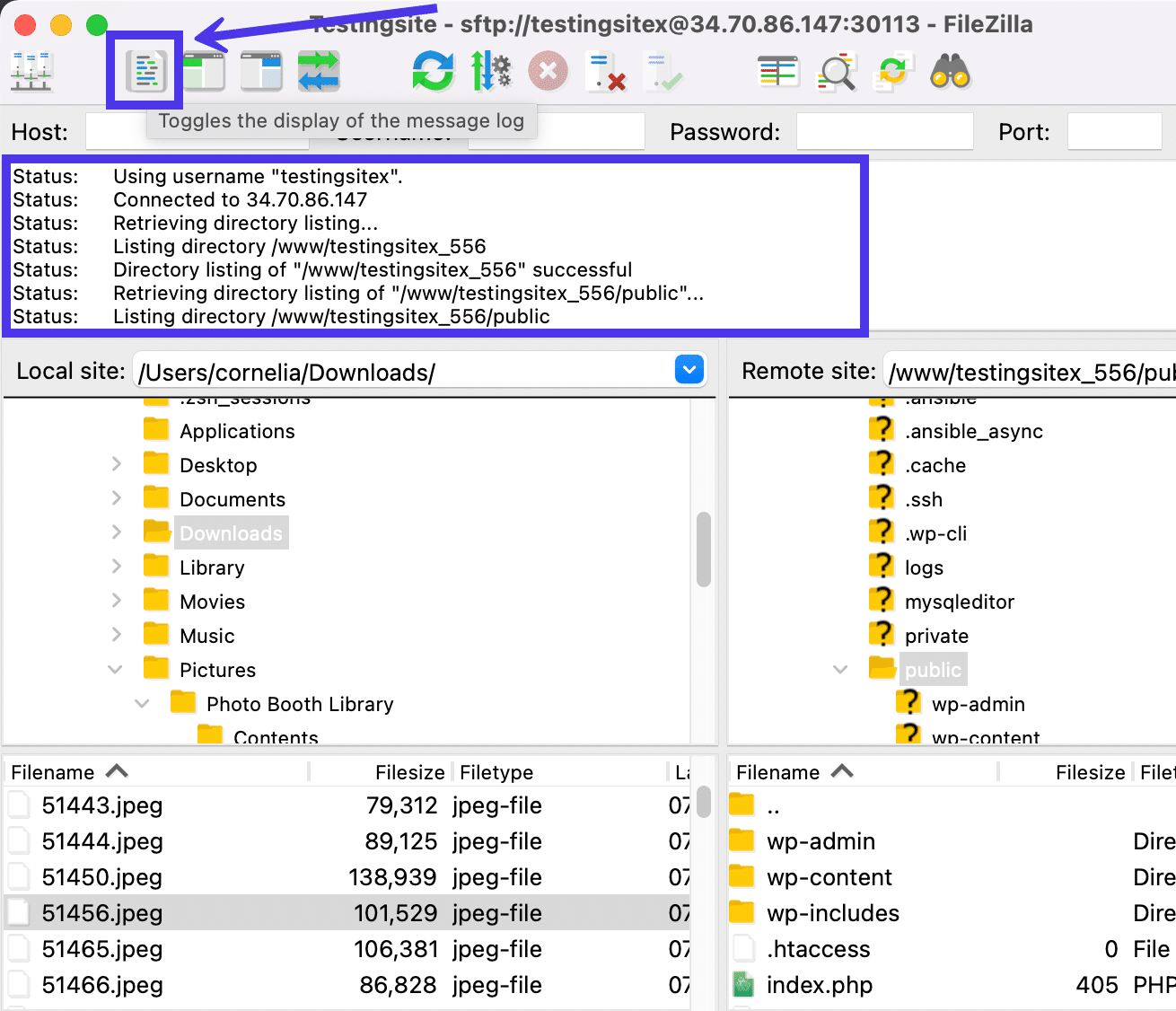 Pulsante di FileZilla per accedere al Message Log.