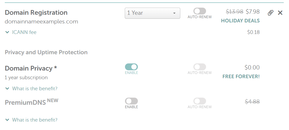 Domain name registration options