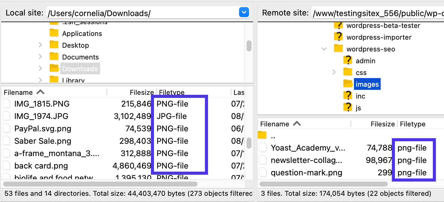 Only image files appear in FileZilla with the filter active.