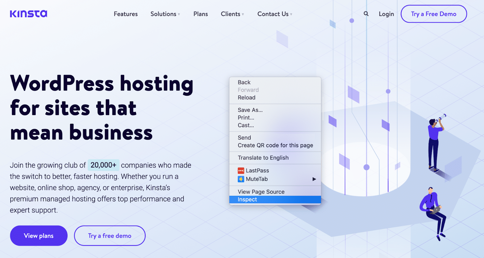 Kinsta home page