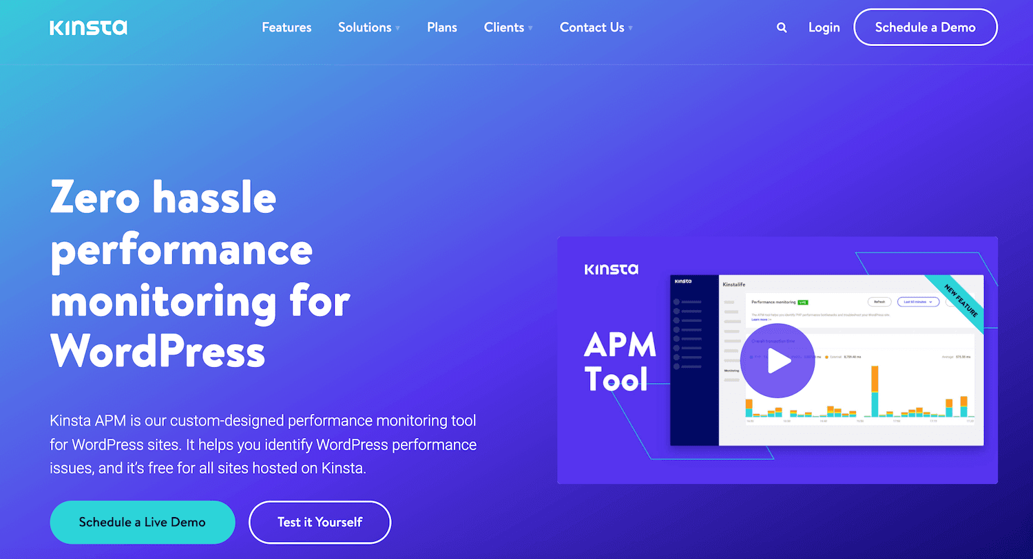 Kinsta APM