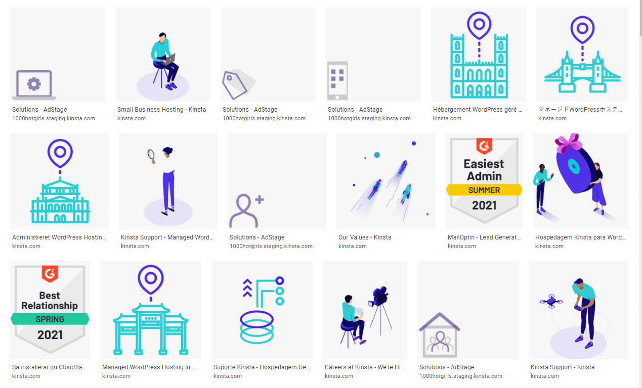  Einige SVG-Dateien auf Kinsta