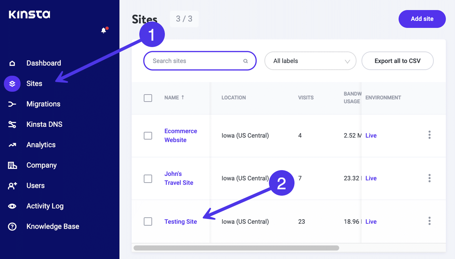 In MyKinsta, click on Sites, then choose the site you want to connect to.