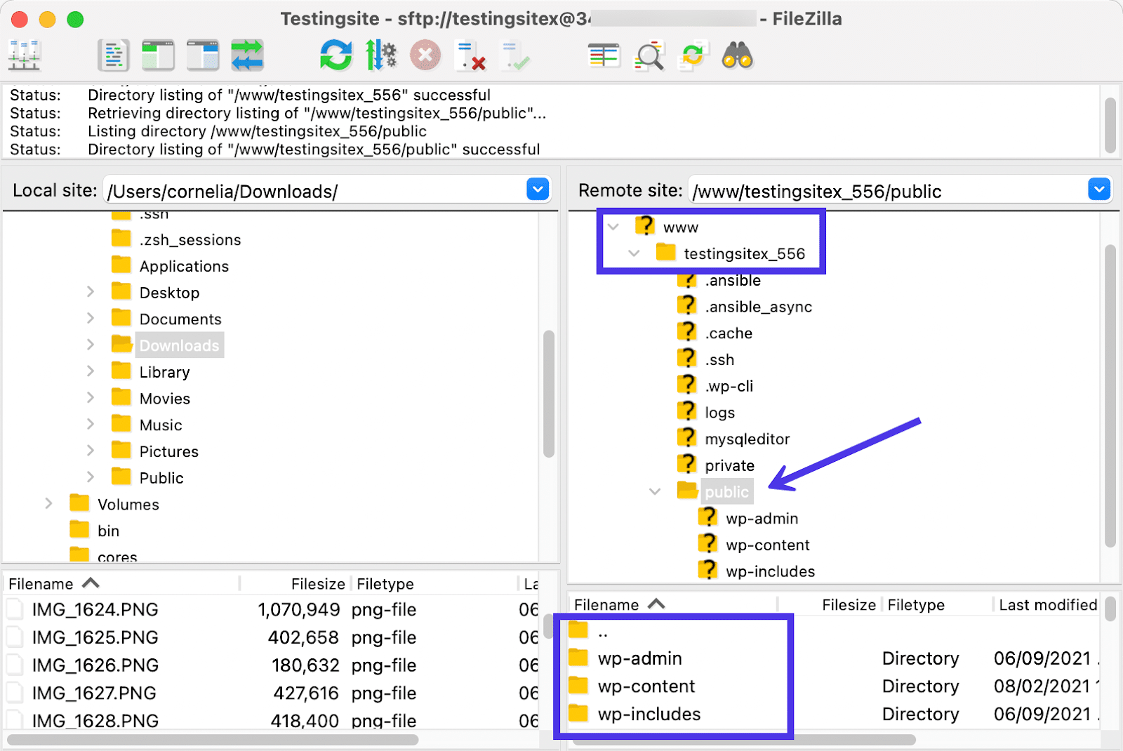 The Remote Site section now shows common WordPress files, all of which are ready for transfer.