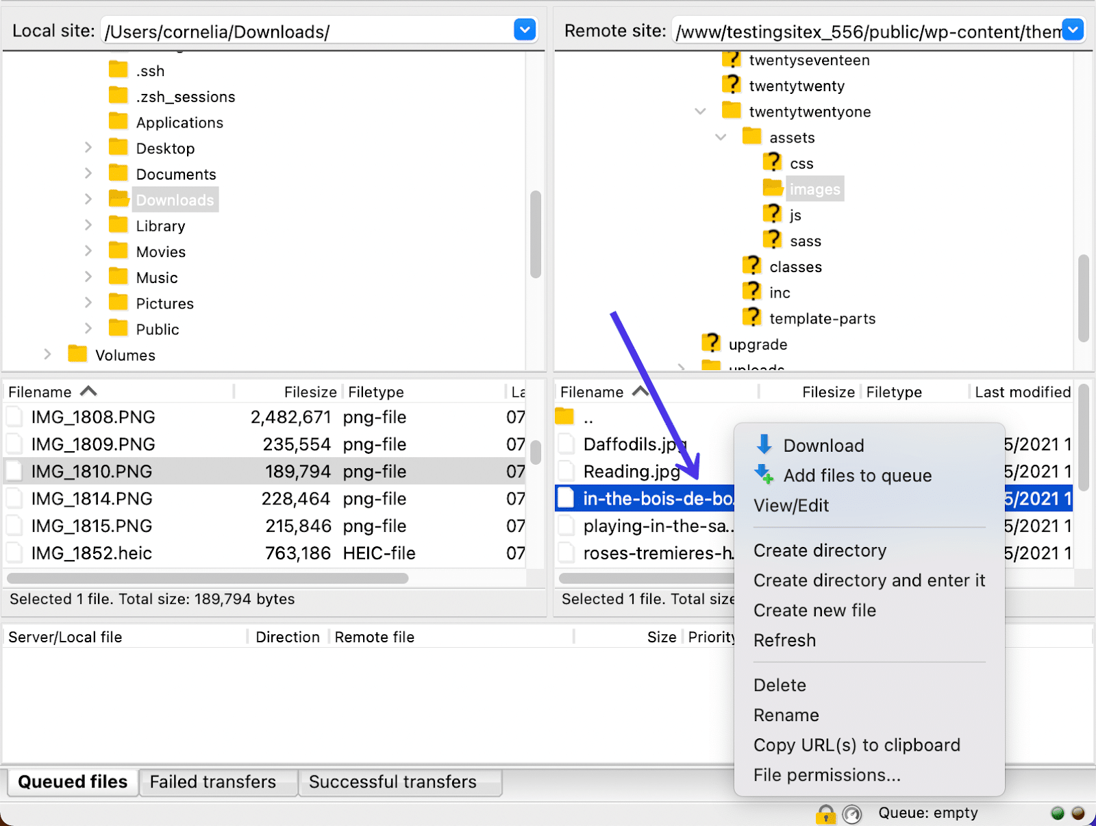 A right-click on a remote file brings up different choices.