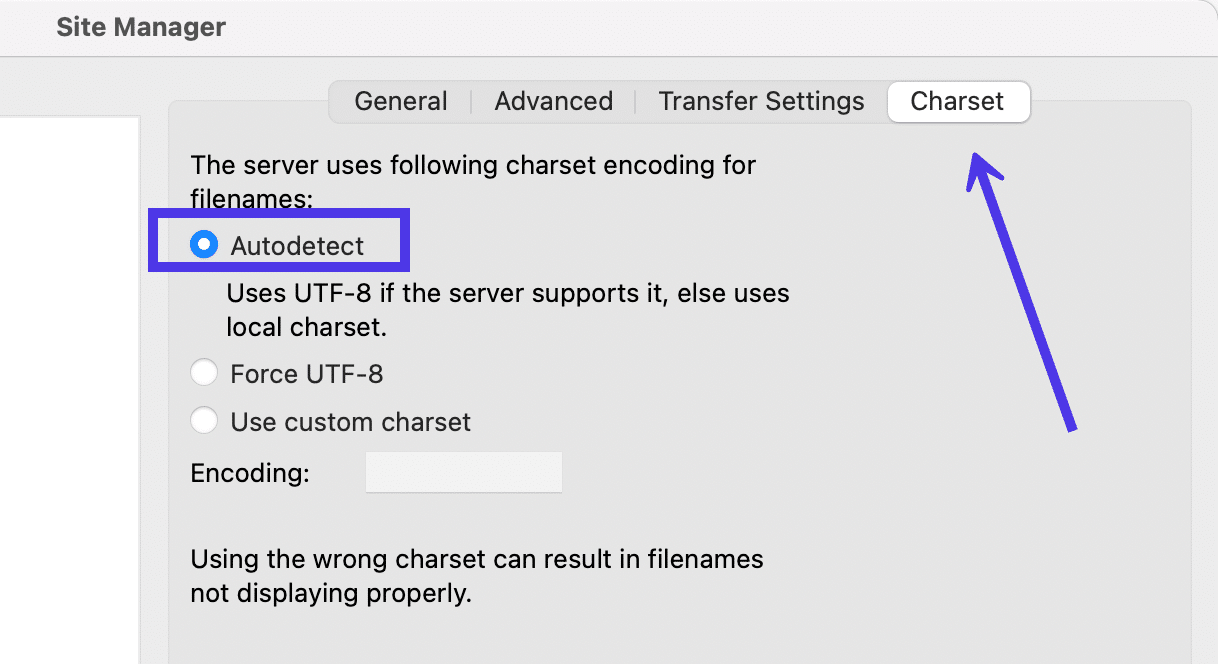 Laat de Charset instellingen op Autodetect staan.