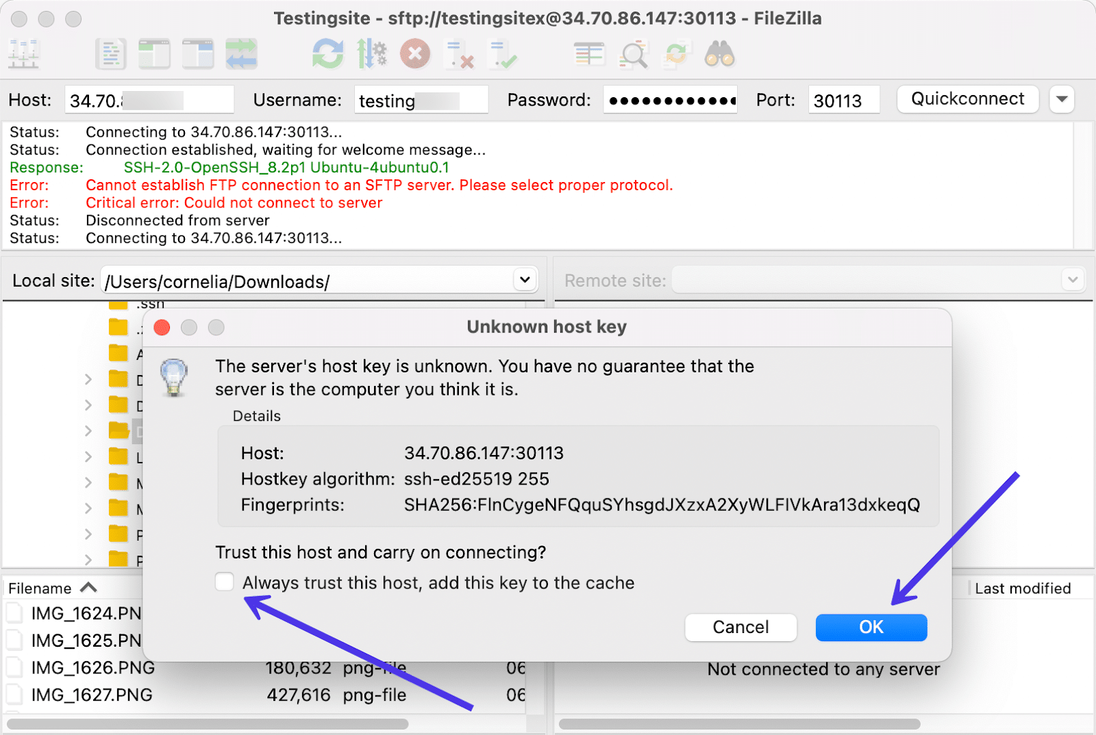 Schermata di FileZilla con la finestra di avviso Unknown Host Key e la domanda che chiede se vuoi dare fiducia all’host prima di continuare.