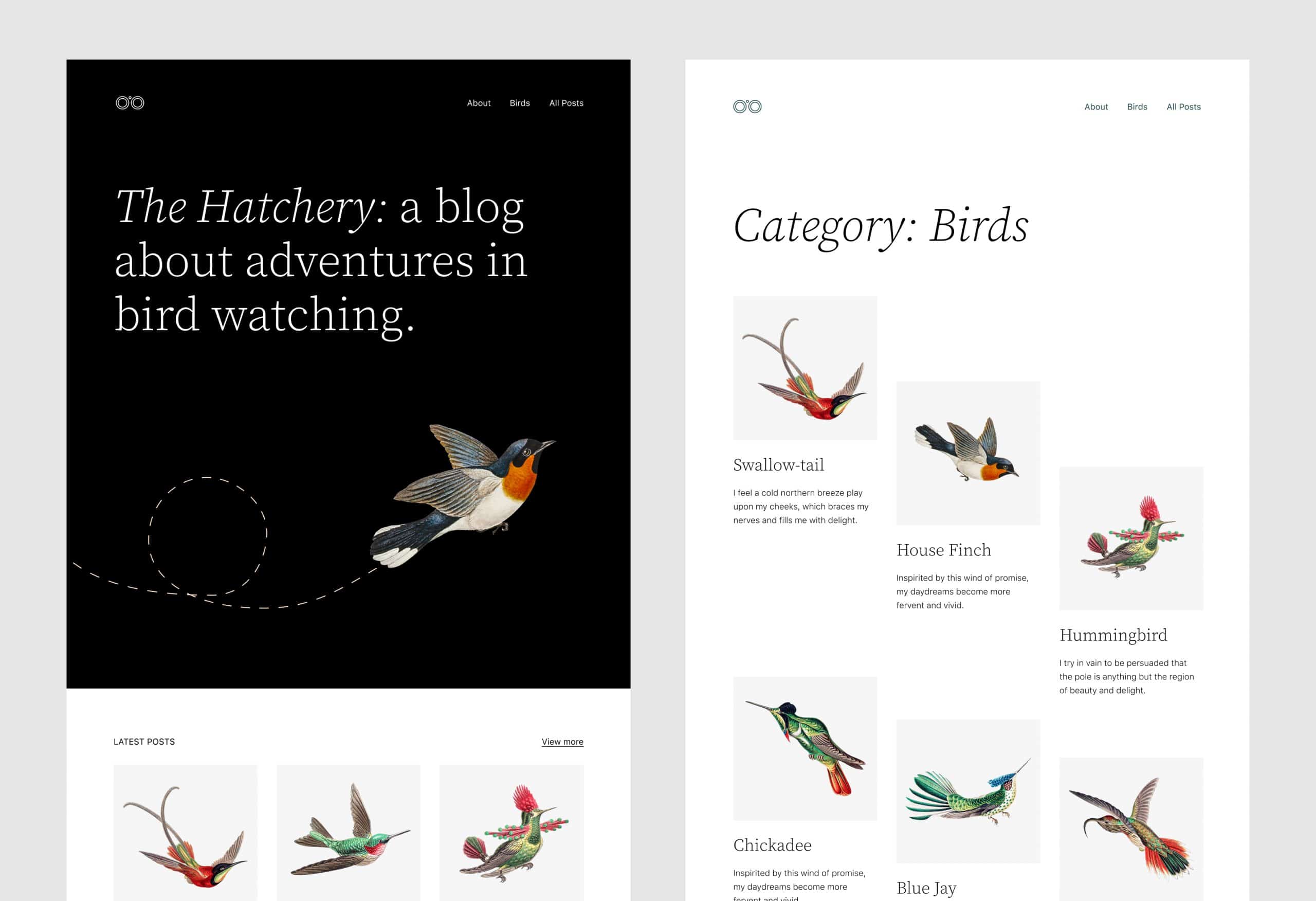 Twenty Twenty-Two preview, showing the text "Category: Birds" and pictures of various types of birds.