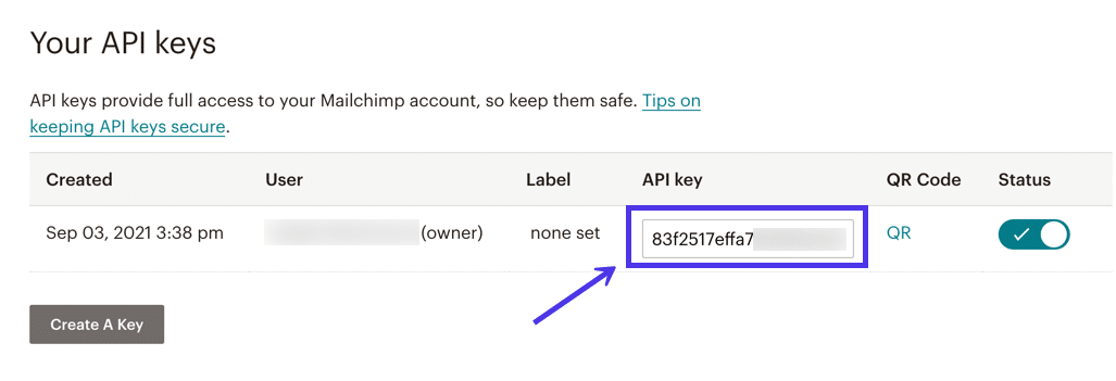 Campo "API Key" nella bacheca di Another Mailchimp