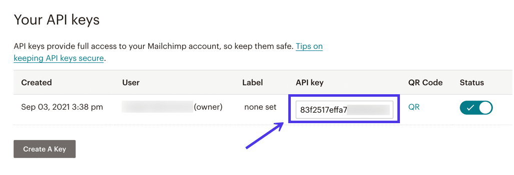 Schermata che evidenzia la chiave API.