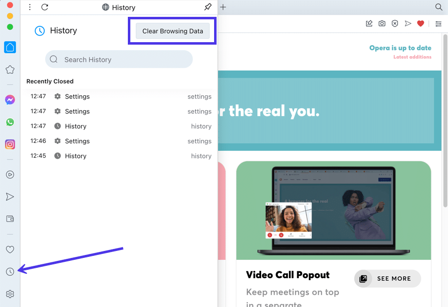 Clear the browsing data in Opera.