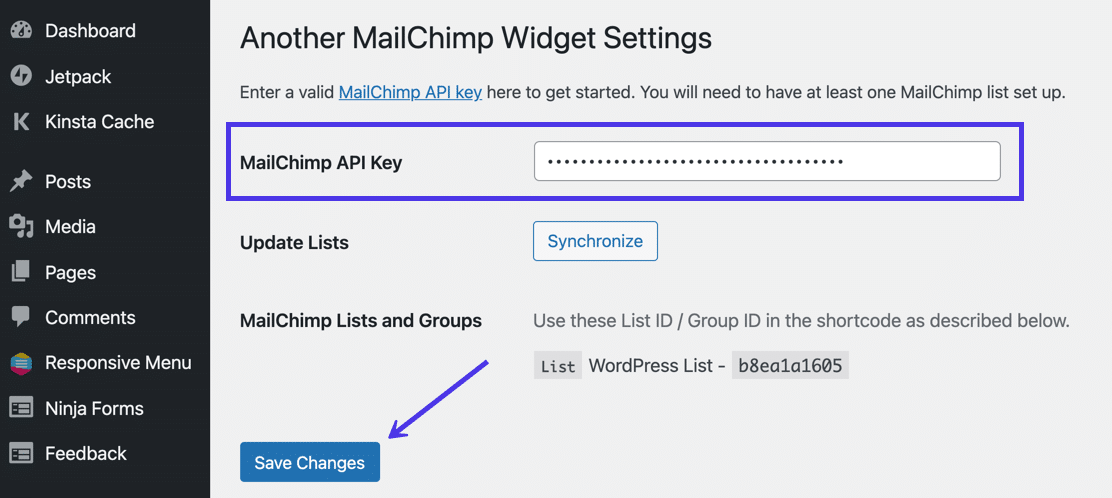 Bacheca di Another Mailchimp con il campo in cui incollare la chiave API