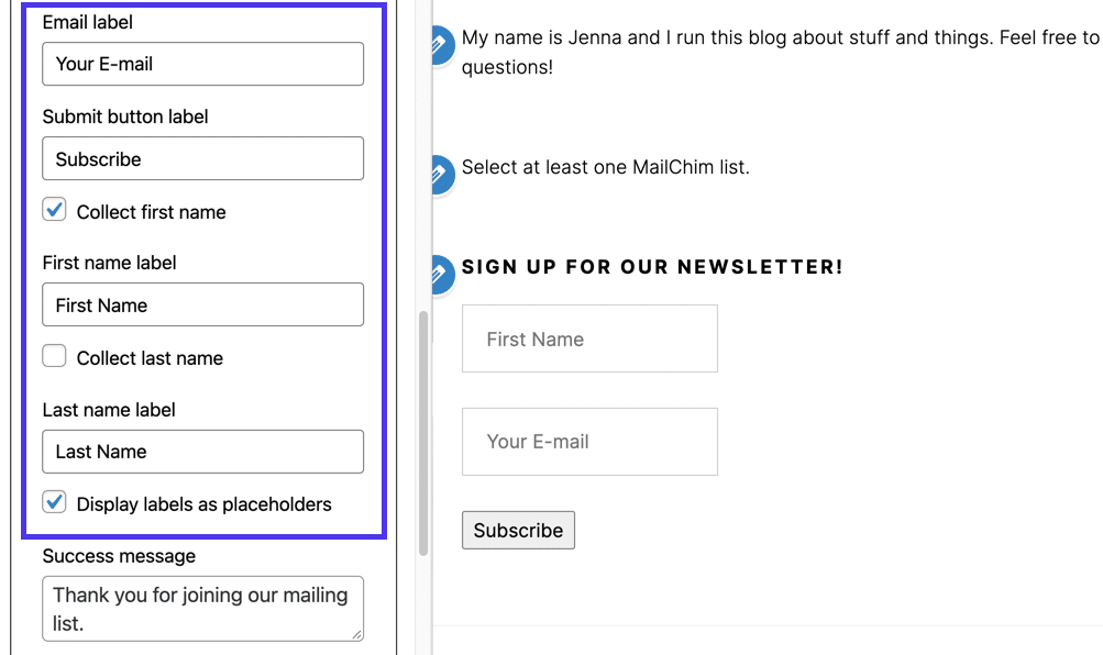 Customize parts of the form widget using fields like Email Label, First Name Label, and Success Message