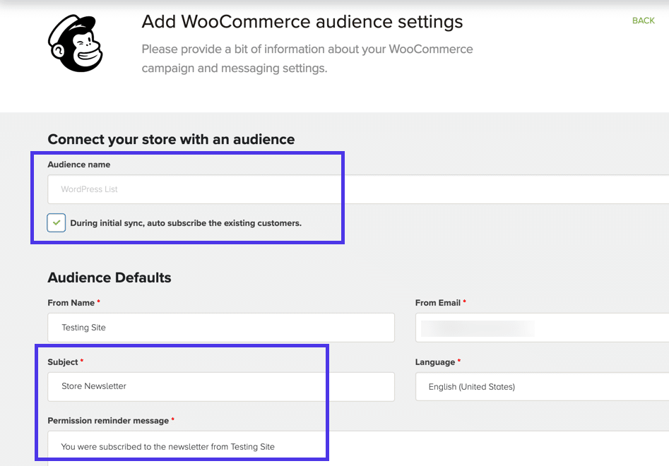  Kies het gewenste “Audience,” en voltooi vervolgens dingen zoals de e-mail “Subject,” “From Name,” en “Permission Reminder Message”