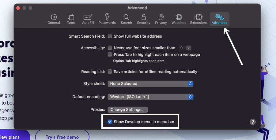 Show developer menu in Safari.