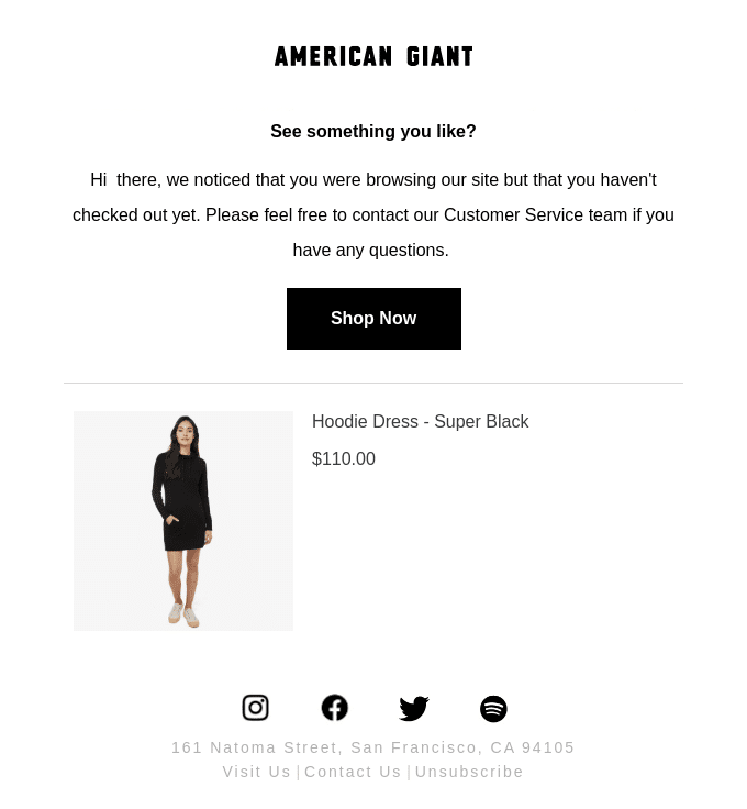 Ein Beispiel für eine E-Mail von American Giant zum Abbruch eines Einkaufswagens