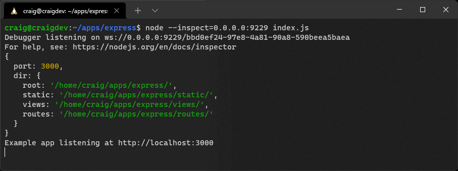 opção de node inspect