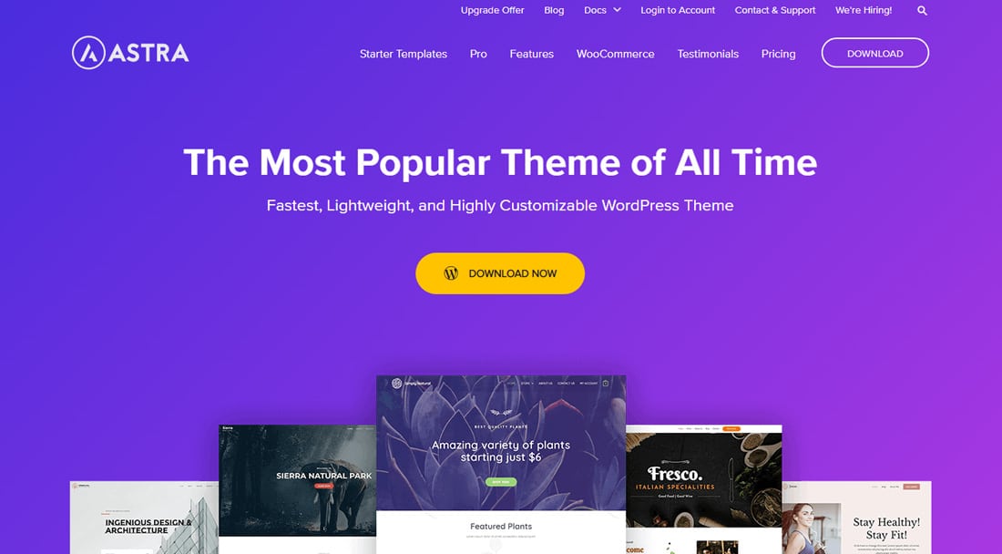 16 Fastest WordPress Themes in 2024 (Based on Testing)