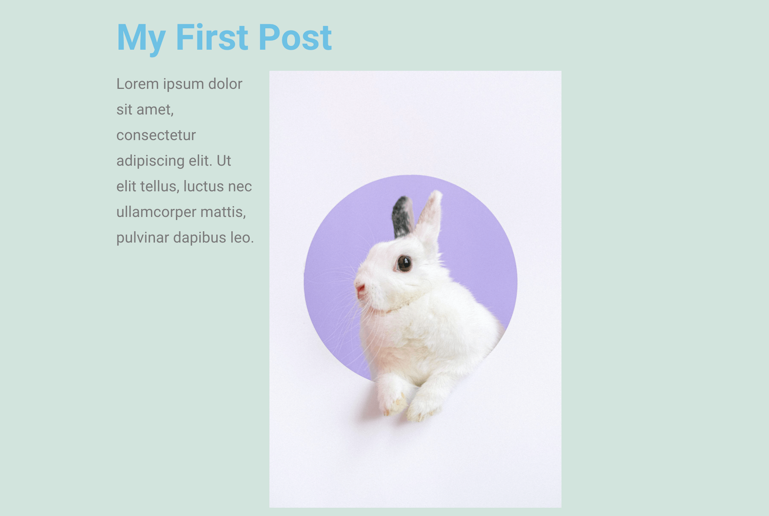Anteprima della pagina Elementor con un testo Lorem Ipsum e l’immagine di un coniglietto bianco in un riquadro lilla