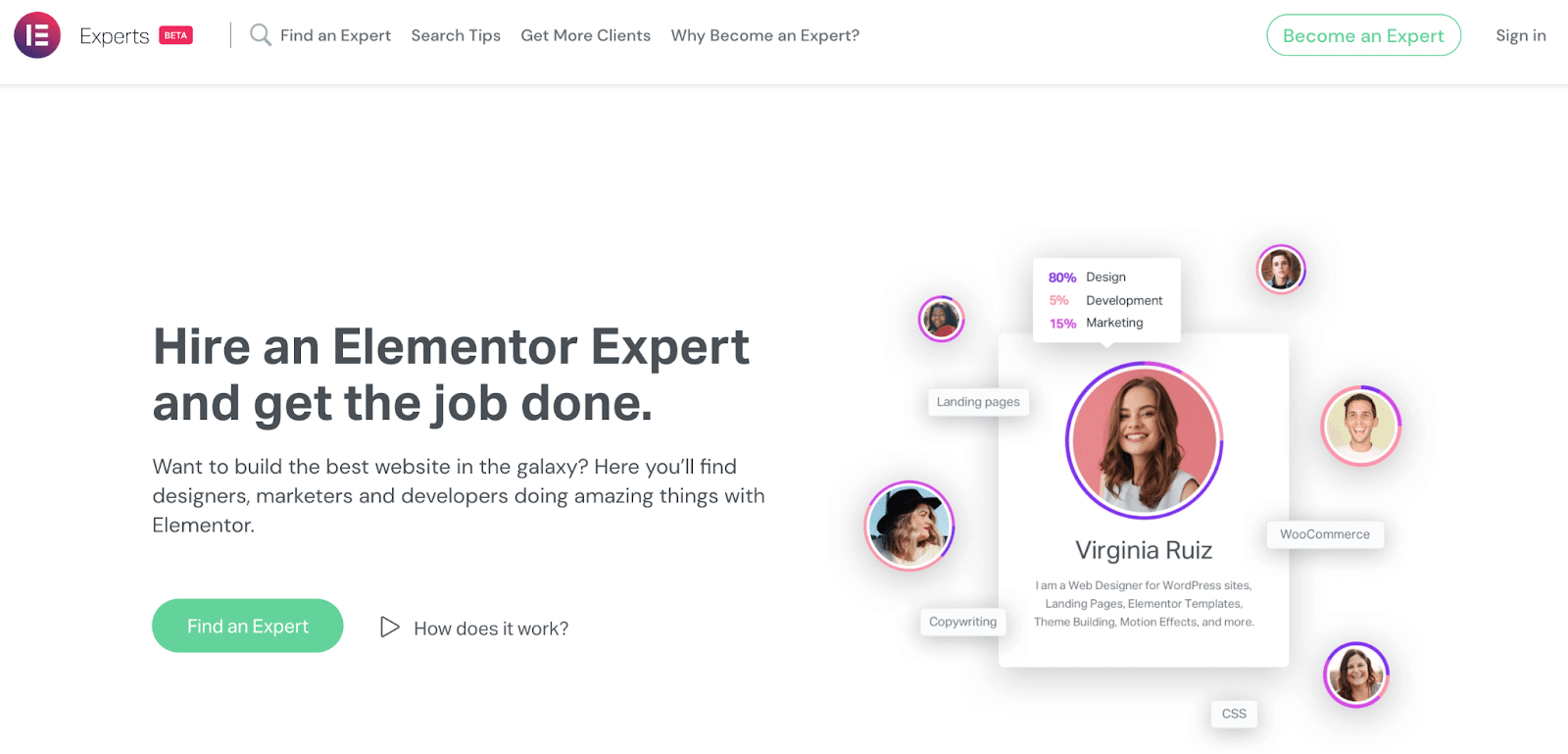 Elementorの「Experts Network」