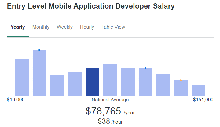 What Is the Average App Developer s Salary