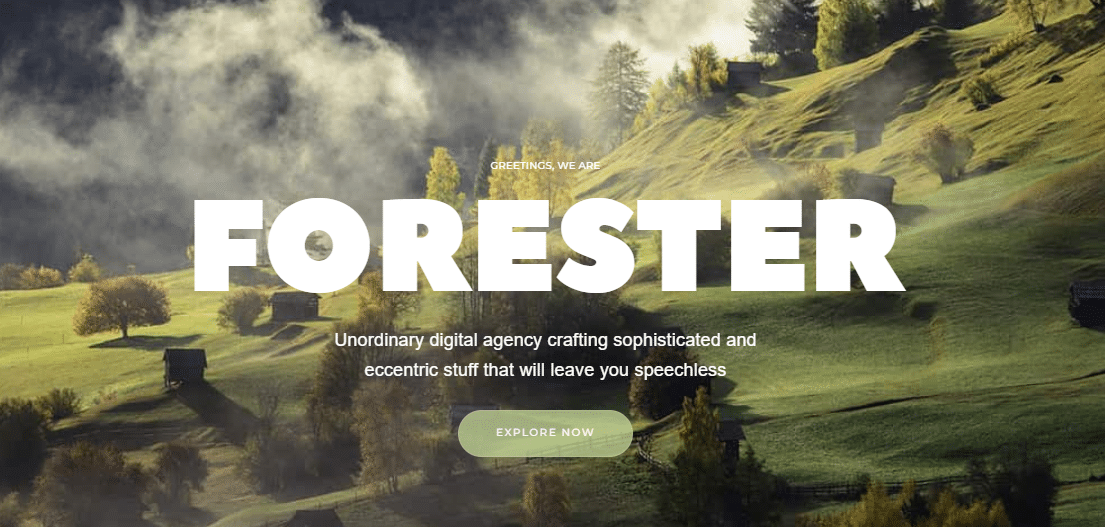 Homepage del tema The Forester