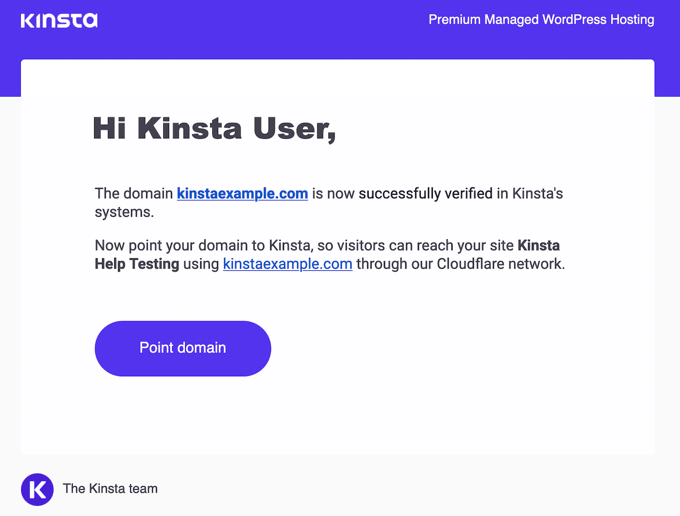 Domain verification email from Kinsta.