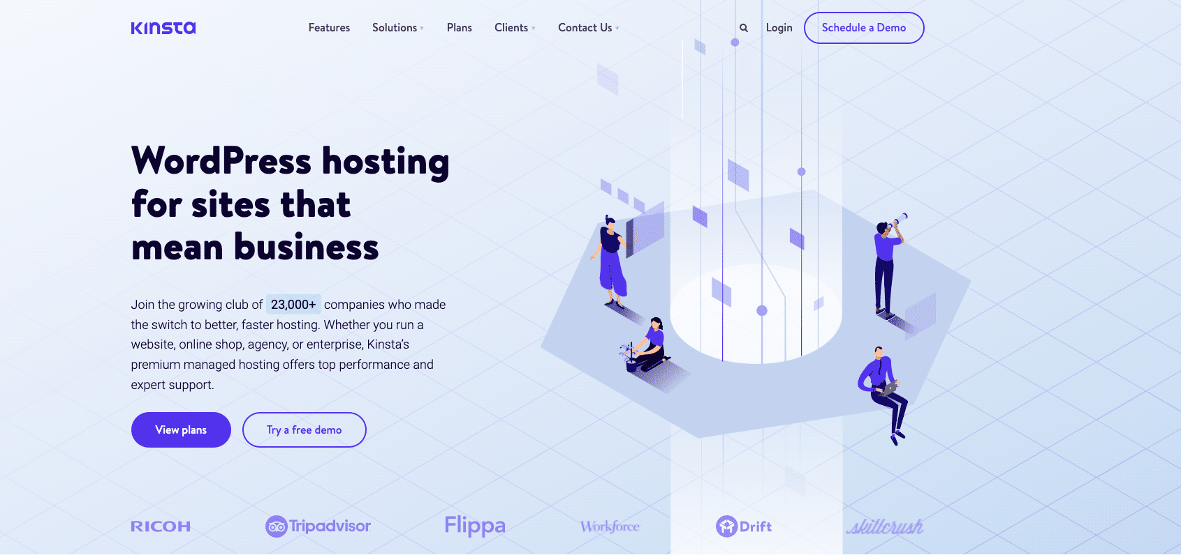 Above the fold on the Kinsta home page