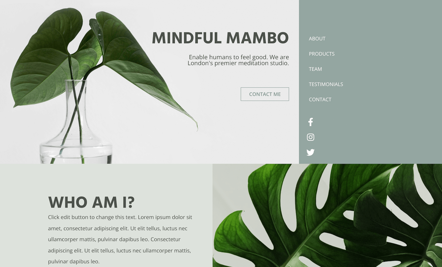 Modèle Mindful Mambo