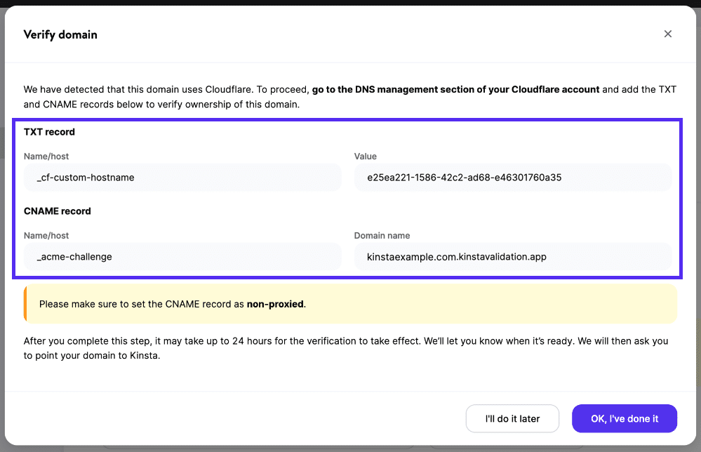 Second set of DNS records in MyKinsta to verify Cloudflare domain.