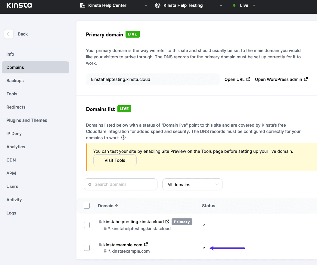 A checkmark next to your root domain in MyKinsta indicates it’s pointed correctly.