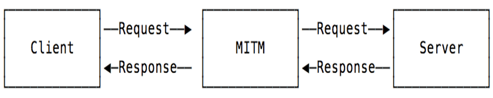 A flow chart showing a Node.js Machine-in-the-Middle attack of a client to MITM, then MITM to the server.