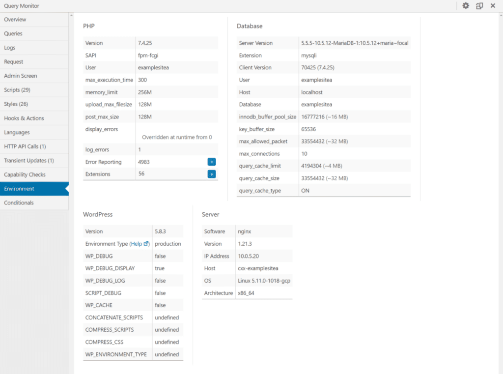 La scheda Environment del plugin Query Monitor.