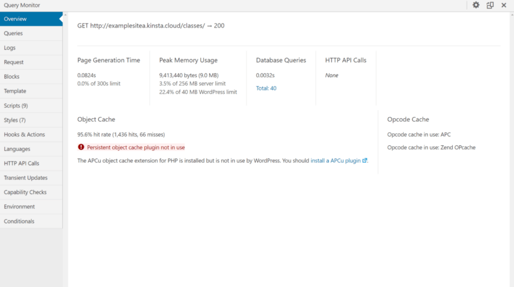 La pestaña Overview en Query Monitor.