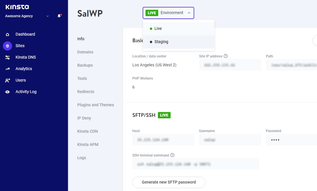 A screen showing how to use Kinsta's one-click staging feature.