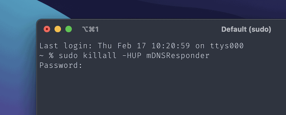 La aplicación de línea de comandos iTerm para macOS, con un comando escrito para vaciar la caché de DNS, y una solicitud de contraseña.